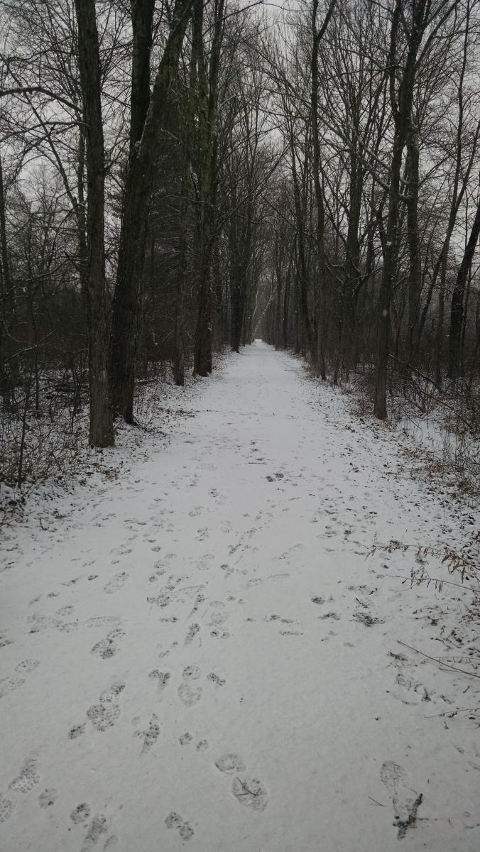 Rail Trail in the Snow